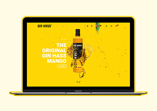 Gin Hass